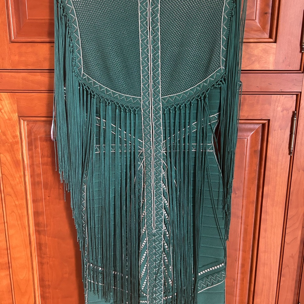 Herve Leger Chic Green Fringe Dress - Picture 3 of 6